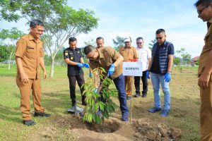 Bupati Labura, Hendriyanto Sitorus, menanam pohon di alun-alun, Aek Kanopan
