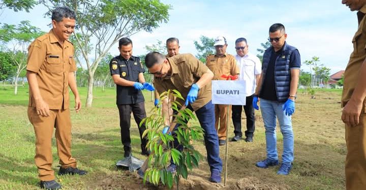 Bupati Labura, Hendriyanto Sitorus, menanam pohon di alun-alun, Aek Kanopan