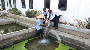 Dukung Ketahanan Pangan, Lapas Labuhan Ruku Tebar 5 Ribu Bibit Lele