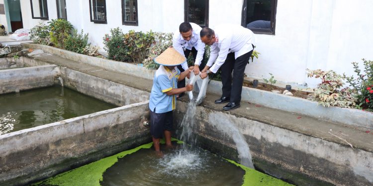 Dukung Ketahanan Pangan, Lapas Labuhan Ruku Tebar 5 Ribu Bibit Lele