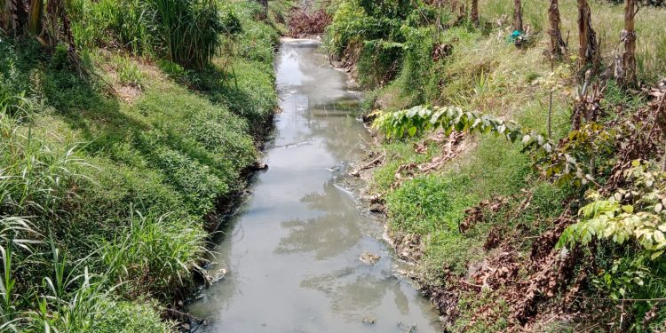 Sungai Serdang diduga Tercemar Limbah dari Pabrik Kelapa