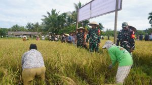 Dandim 0211/TT, Letkol Inf Fernando Batubara saat meninjau Ketahanan Pangan di wilayah teritorialnya. 