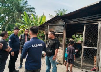 Rumah Wartawan di Sergai Diduga Dibakar OTK