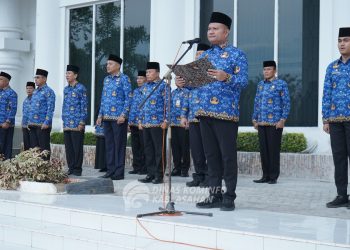 Wakil Bupati Asahan Pimpin Upacara HKN 