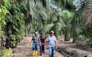 Kalapas Labuhan Ruku Tinjau Lahan Milik Lapas