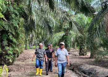 Kalapas Labuhan Ruku  Tinjau Lahan Milik Lapas
