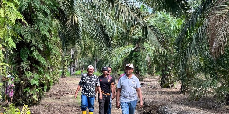 Kalapas Labuhan Ruku  Tinjau Lahan Milik Lapas
