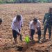 Lapas Tebing Tinggi Gandeng Stakeholder Tanam Bibit Kelapa