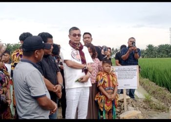 P3-TGAI Terbukti Meningkatkan Hasil Panen 