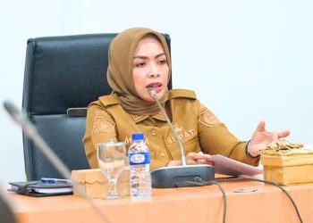 Bupati Labuhanbatu dr Hj Maya Hasmita.