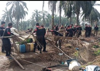 Gubuk Liar di Area Lahan HGU PT BSP Tbk Kisaran Ditertibkan