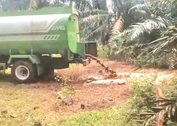 Buang Limbah Sembarangan, PKS PT AMS Nekad Beroperasi Tanpa Izin