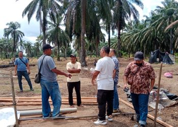 PT BSP Tuding Oknum Kades Padang Sari Jadi  Pengerak & Provokator Dalam Penguasaan Lahan HGU Perusahaan