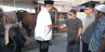 Bupati Asahan Serahkan Hewan Kurban Presiden RI ke Masjid Raya Kisaran
