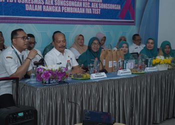 Ketua TP PKK Asahan Sosialisasikan dan Monitoring IVA Test di Kecamatan Aek Songsongan