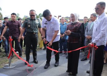 Insentif Pajak Jadi Strategi Percepatan Investasi, Bupati Asahan Dorong Sektor Unggulan Daerah