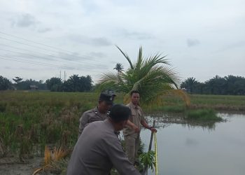 Dua Bocah di Meranti, Asahan Tewas di Kolam Milik Warga