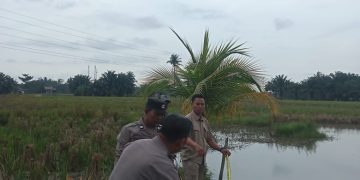 Dua Bocah di Meranti, Asahan Tewas di Kolam Milik Warga