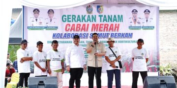 Bupati Batubara Bersama Gubsu Laksanakan Gerakan Tanam Cabai Bersama
