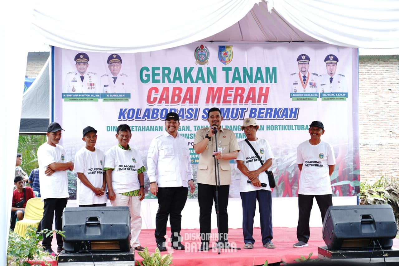 Bupati Batubara Bersama Gubsu Laksanakan Gerakan Tanam Cabai Bersama