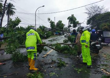 Personel Polres Tanjungbalai Amankan Evakuasi Pohon Tumbang di Jalan Sudirman