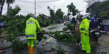 Personel Polres Tanjungbalai Amankan Evakuasi Pohon Tumbang di Jalan Sudirman