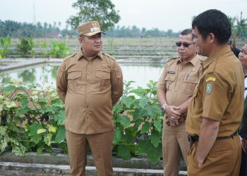 Sarasehan Pengembangan Perikanan Asahan Bahas Tantangan dan Arah Kebijakan 2025