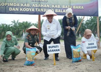 Forkopimda Asahan Bersatu Dukung Gerakan Tanam Padi Gogo Kodim 0208/Asahan