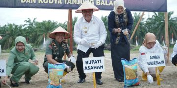 Forkopimda Asahan Bersatu Dukung Gerakan Tanam Padi Gogo Kodim 0208/Asahan