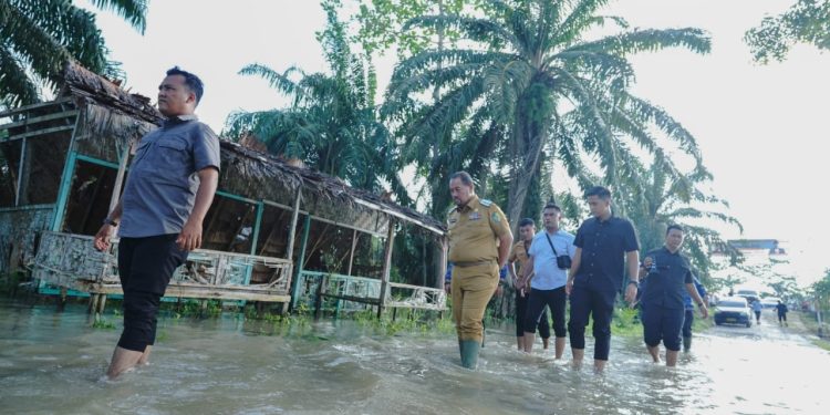 Bupati Batubara Tinjau Lokasi Banjir di Desa Sido Mulyo dan Tanjung Mulia