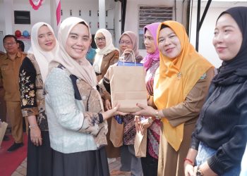 Pembinaan IVA Test Perkuat Deteksi Dini Kanker Serviks di Kecamatan Aek Songsongan