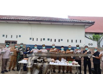 Wakil Walikota Tanjungbalai Hadiri Pemusnahan Tangkapan Karantina