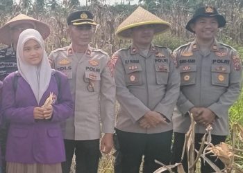 Dukung Swasembada Pangan, Polres Tanjungbalai Gelar Panen Raya Jagung
