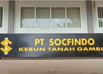 PD IWO Desak Bupati Batubara Untuk Tunda Pembaharuan HGU PT Socfindo 
