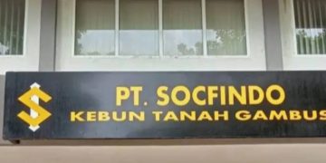 PD IWO Desak Bupati Batubara Untuk Tunda Pembaharuan HGU PT Socfindo 