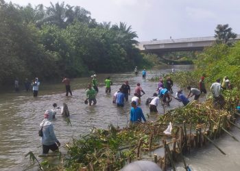 Pegawai Dinas Pertanian dan Perkebunan Kabupaten Batubara melakukan gotong royong bersama kelompok tani guna menghempang aliran Sungai Ramunia, Simalungun.