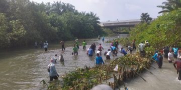 Pegawai Dinas Pertanian dan Perkebunan Kabupaten Batubara melakukan gotong royong bersama kelompok tani guna menghempang aliran Sungai Ramunia, Simalungun.