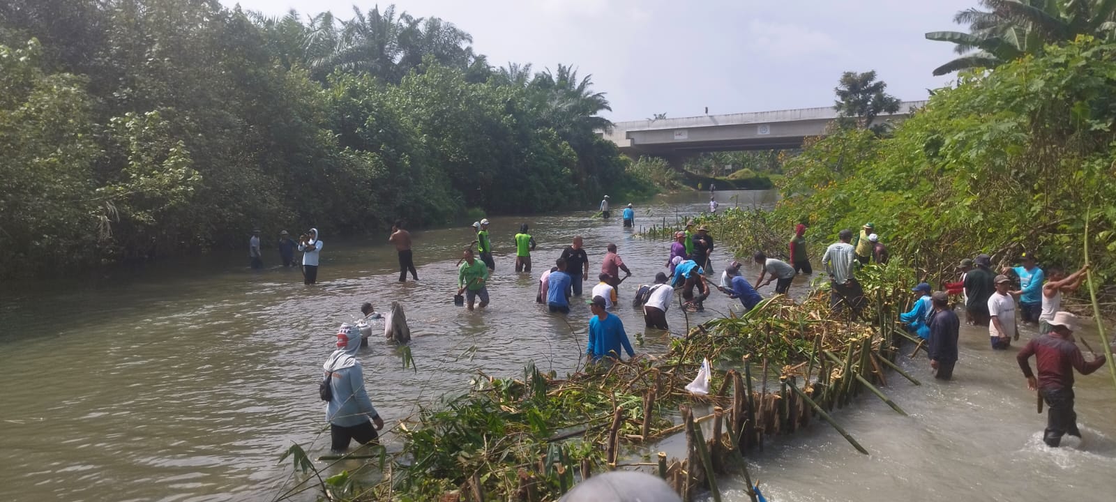 Pegawai Dinas Pertanian dan Perkebunan Kabupaten Batubara melakukan gotong royong bersama kelompok tani guna menghempang aliran Sungai Ramunia, Simalungun.