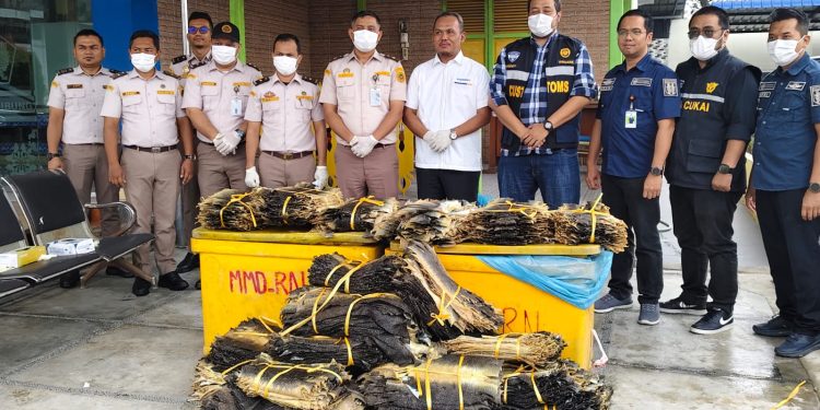 Bea Cukai Gagakan Penyelundupan 1.984 Lembar Sisik Biawak