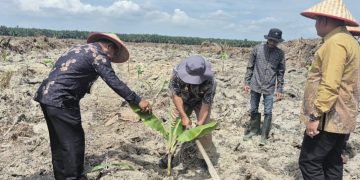 Lapas Labuhan Ruku Tanam 500 Bibit Pisang