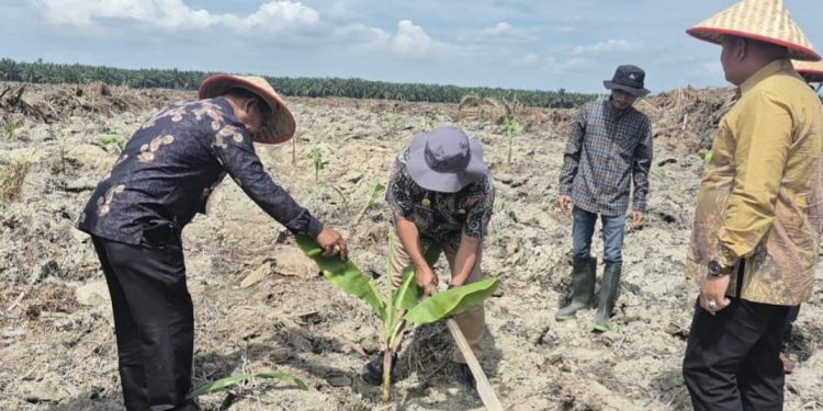 Lapas Labuhan Ruku Tanam 500 Bibit Pisang
