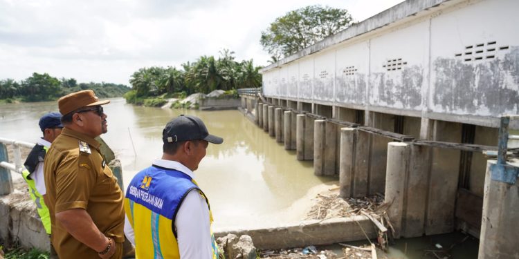 Tinjau Bendungan Tanjung Muda, Bupati Pastikan Ketersediaan air Irigasi 