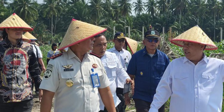 Dirpamintel Ditjenpas Tinjau Ketahanan Pangan di Lahan Air Joman dan Monev Lapas Labuhan Ruku