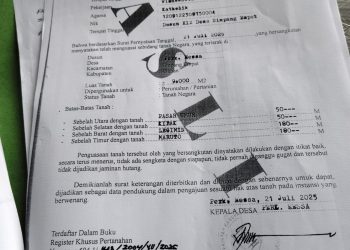 Penerbitan surat tanah