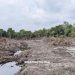 Camat Medang Deras Perintahkan Hentikan Pembabatan Hutan