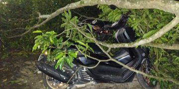 Tertimpa Pohon Tumbang, Sejumlah Sepedamotor di Parkiran RSU HAMS Kisaran  Rusak