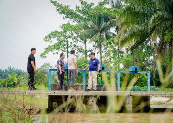 Bupati Baharuddin Tinjau Irigasi Primer di Pasar 8