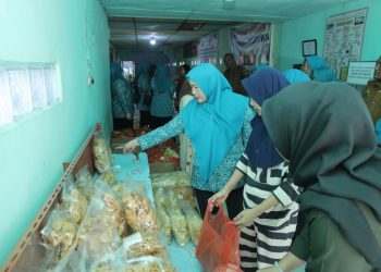 Ketua TP PKK Asahan Lakukan Pembinaan Lomba UP2K PKK di Kelurahan Sentang
