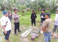 Mayat Keluarga Siapa Ini, Ditemukan di Parit Bekas Bekoan di Air Joman Asahan