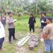 Mayat Keluarga Siapa Ini, Ditemukan di Parit Bekas Bekoan di Air Joman Asahan
